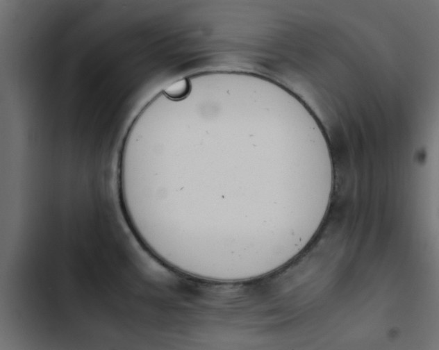 X0000103941387200809261716