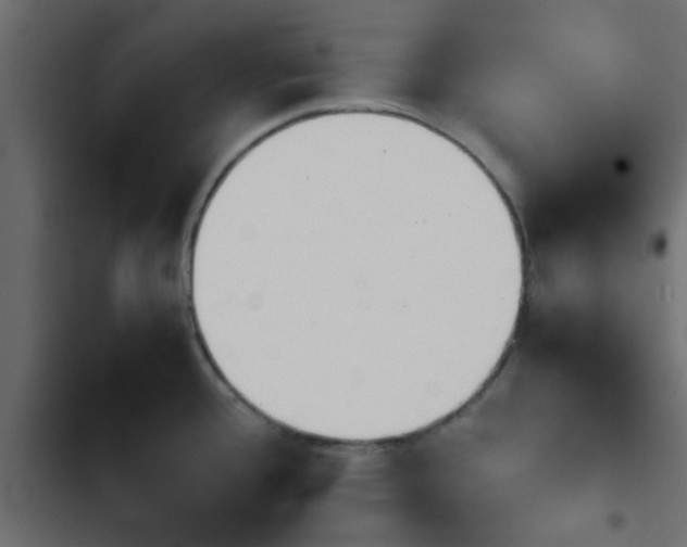 X0000103941388200809261716