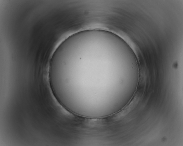 X0000103941390200809261716