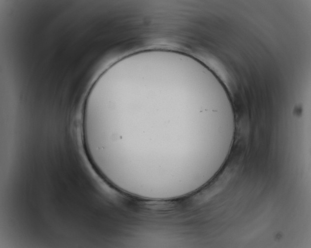 X0000103941391200809261716
