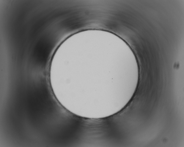 X0000103941392200809261716