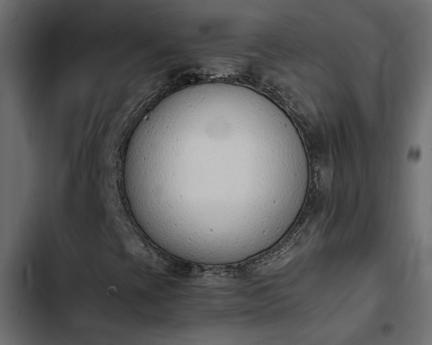 X0000103941393200809261715