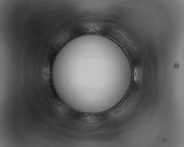 X0000103941395200809261715