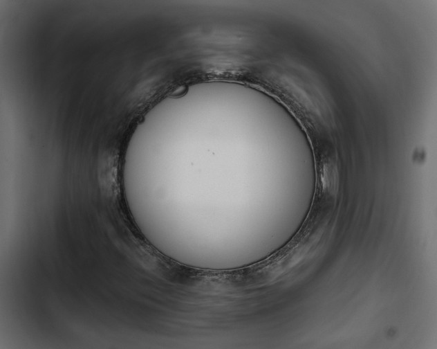 X0000103941396200809261715