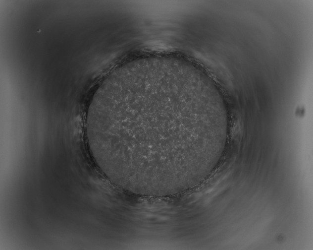 X0000103941397200809261715
