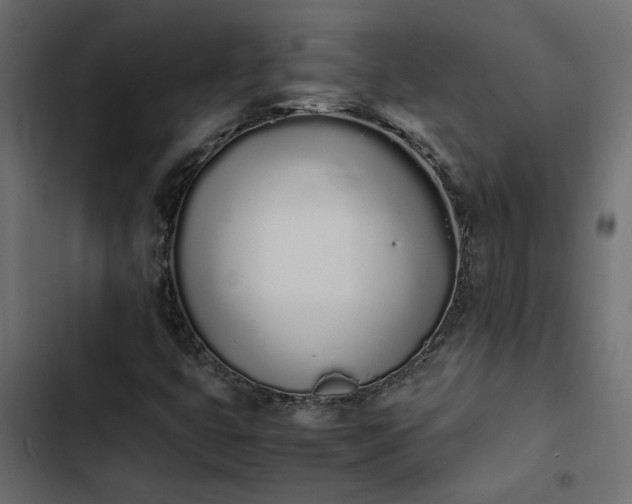 X0000103941399200809261715
