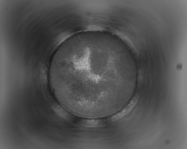 X0000103941401200809261715