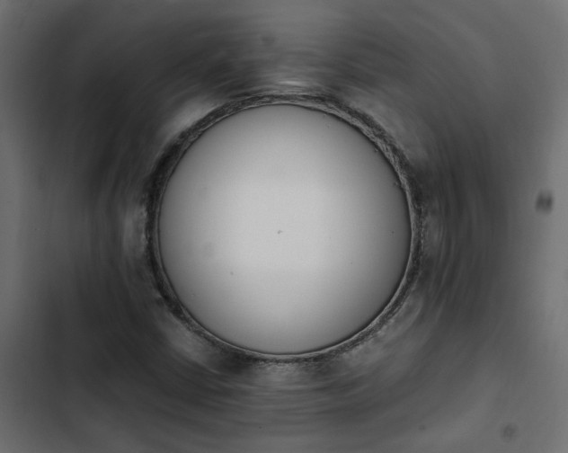 X0000103941402200809261715