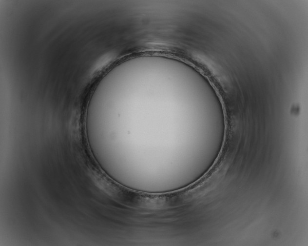 X0000103941403200809261715