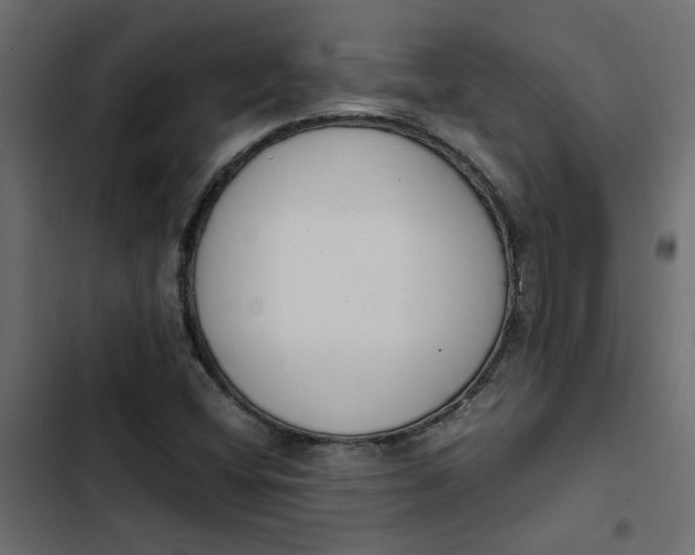 X0000103941404200809261715