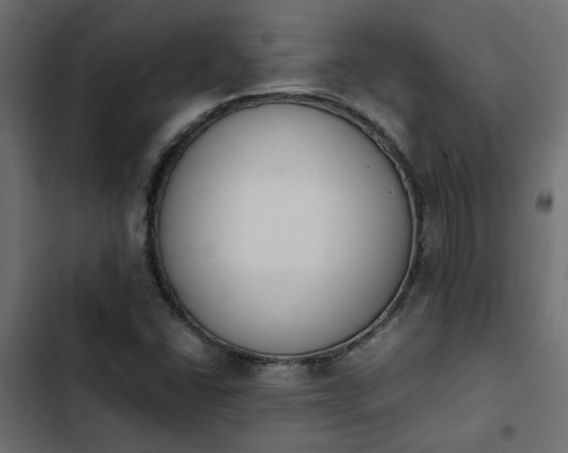 X0000103941406200809261715
