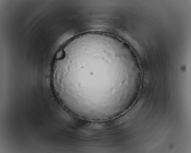 X0000103941411200809261715