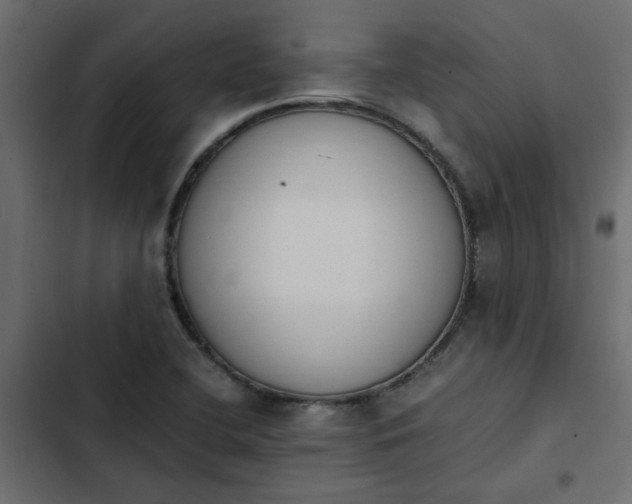 X0000103941412200809261715