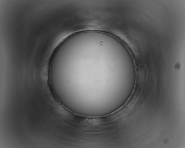 X0000103941415200809261715