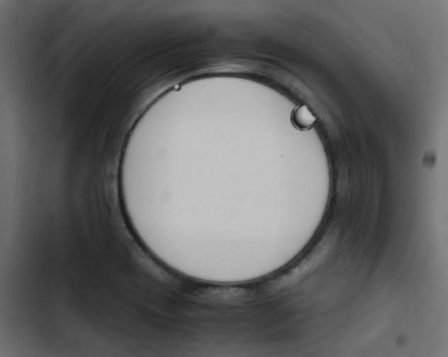 X0000103941417200809261715