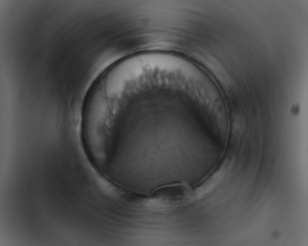 X0000103941418200809261715