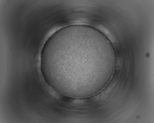 X0000103941419200809261715