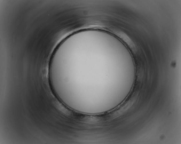 X0000103941420200809261715