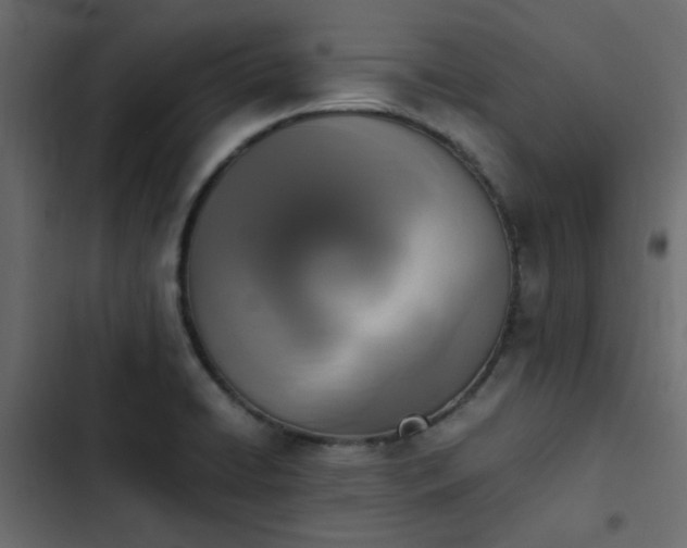 X0000103941422200809261716