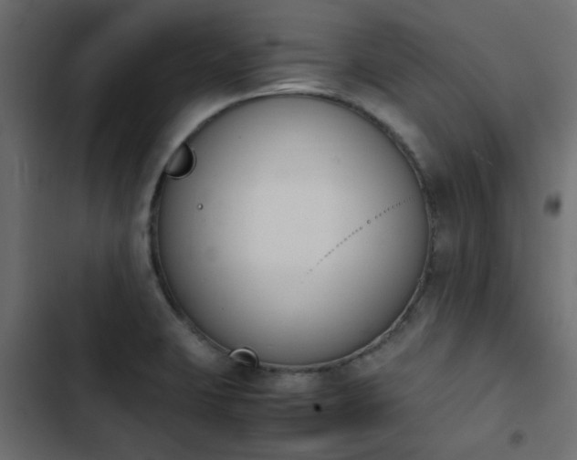 X0000103941423200809261716