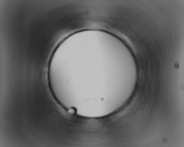 X0000103941424200809261716