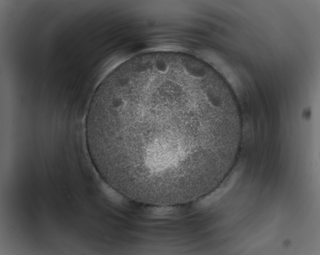 X0000103941425200809261716