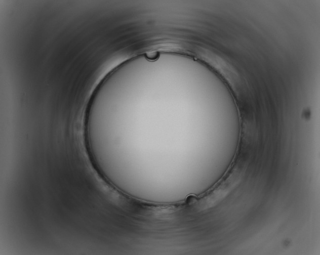 X0000103941426200809261716