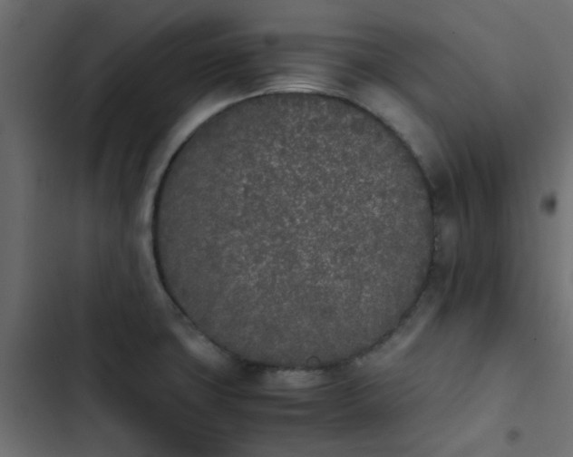 X0000103941427200809261716
