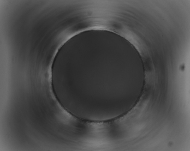 X0000103941428200809261716