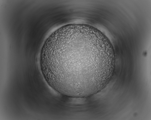 X0000103941429200809261716