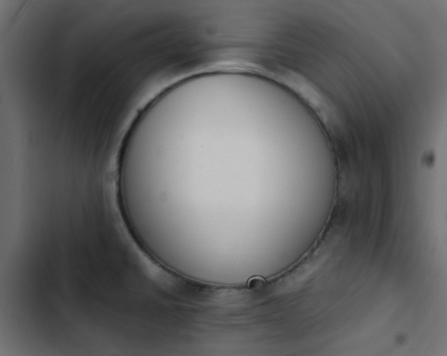 X0000103941430200809261716
