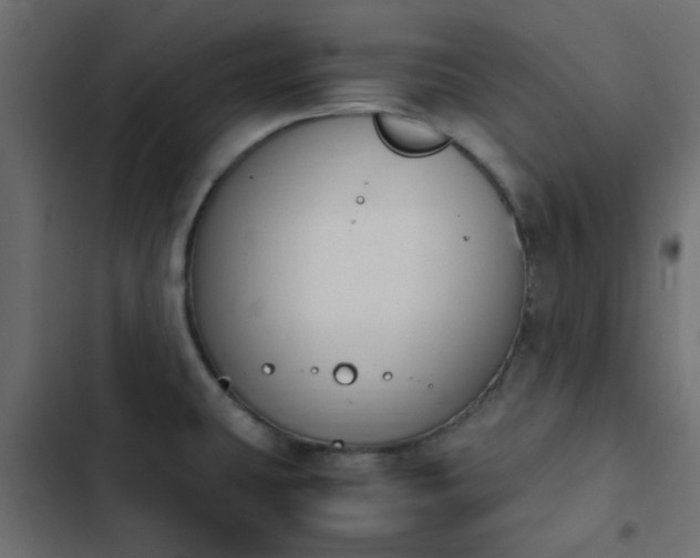 X0000103941431200809261716