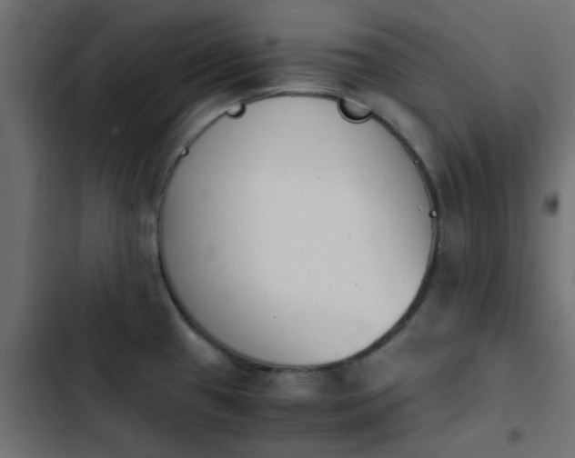 X0000103941433200809261716