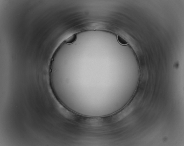 X0000103941434200809261716
