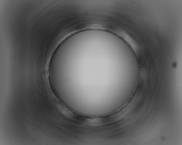 X0000103941435200809261716
