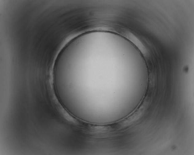 X0000103941436200809261716
