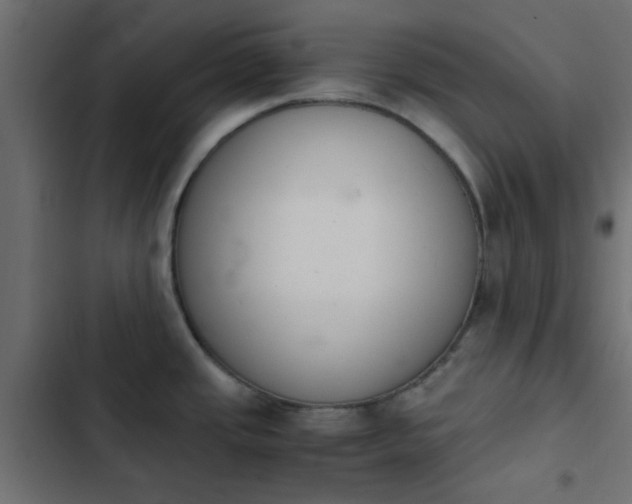 X0000103941437200809261716