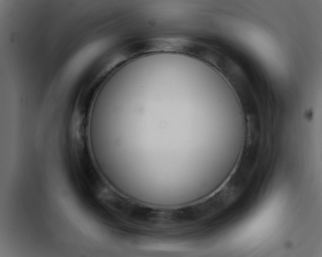 X0000103941438200809261716