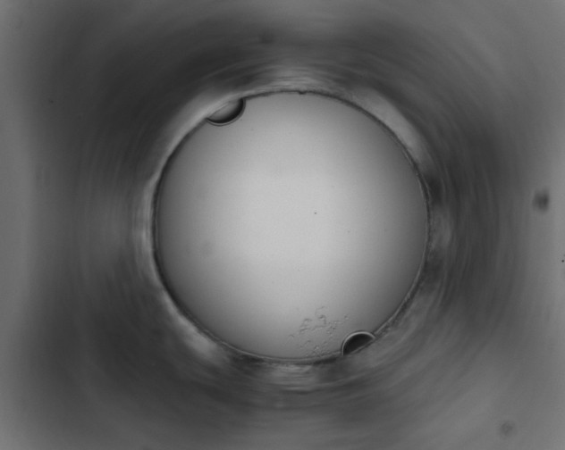 X0000103941439200809261716