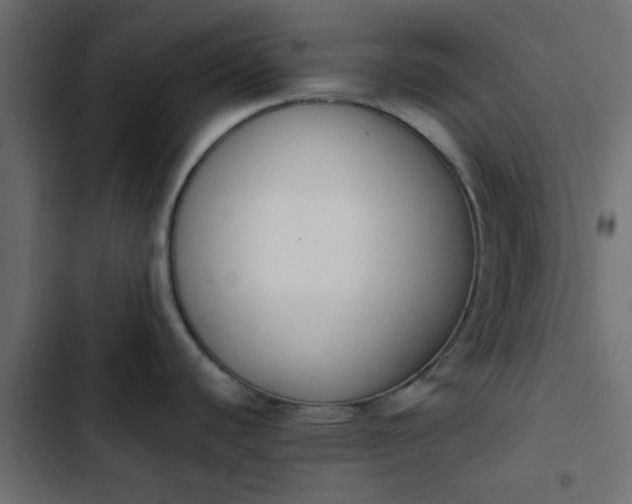 X0000103941440200809261716