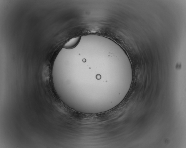 X0000103941442200809261715