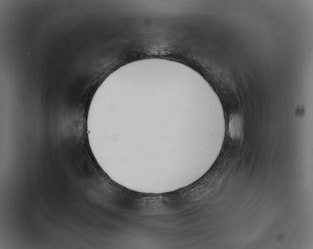X0000103941444200809261715