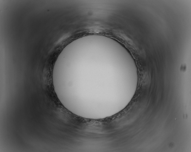 X0000103941446200809261715