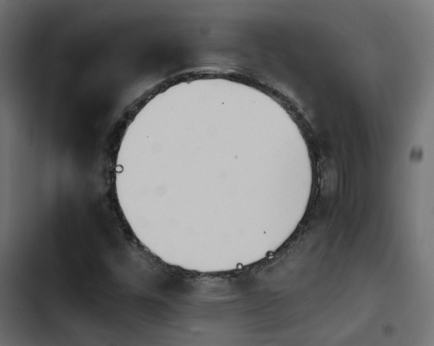 X0000103941448200809261715