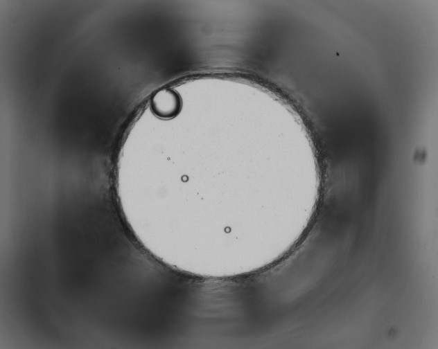 X0000103941449200809261715