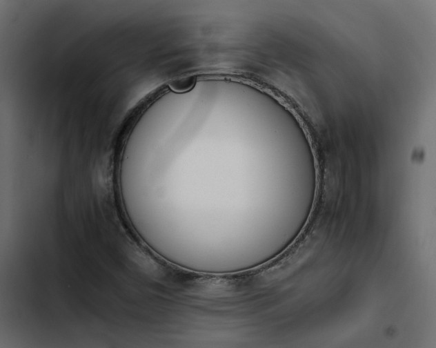 X0000103941450200809261715