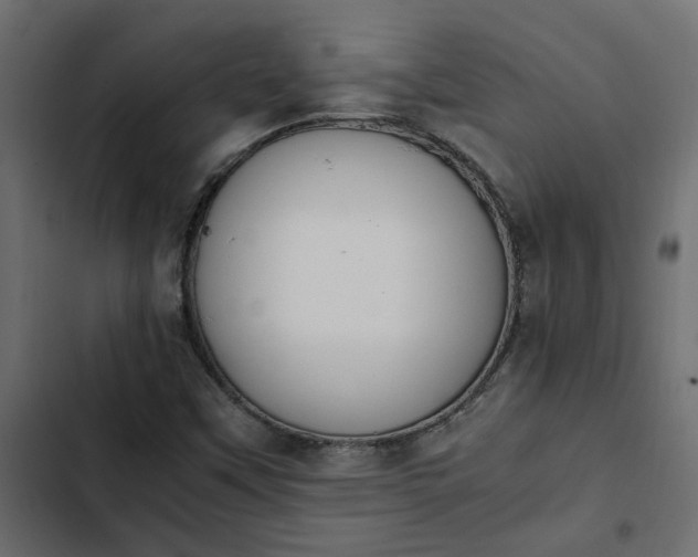 X0000103941451200809261715