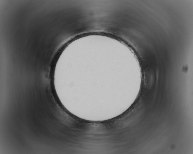 X0000103941452200809261715