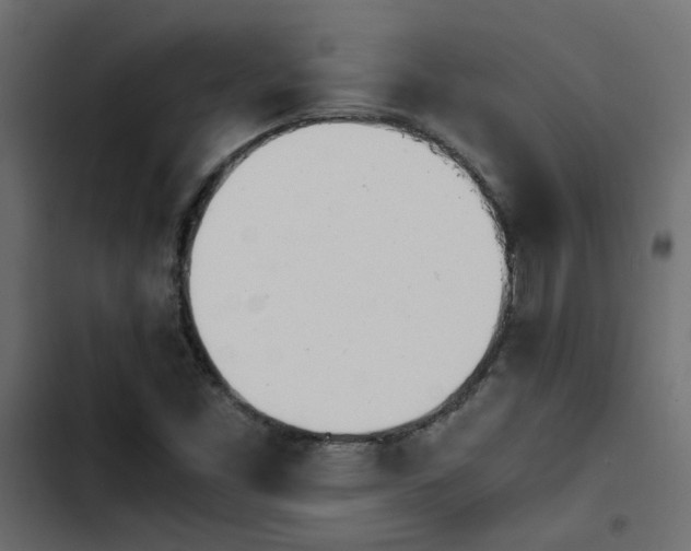 X0000103941453200809261715