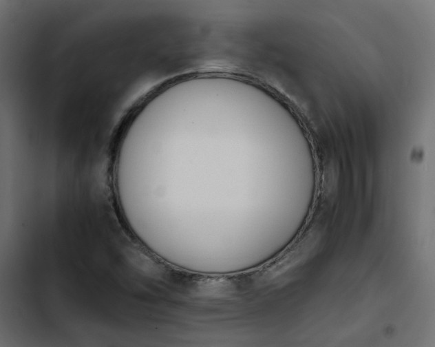 X0000103941454200809261715